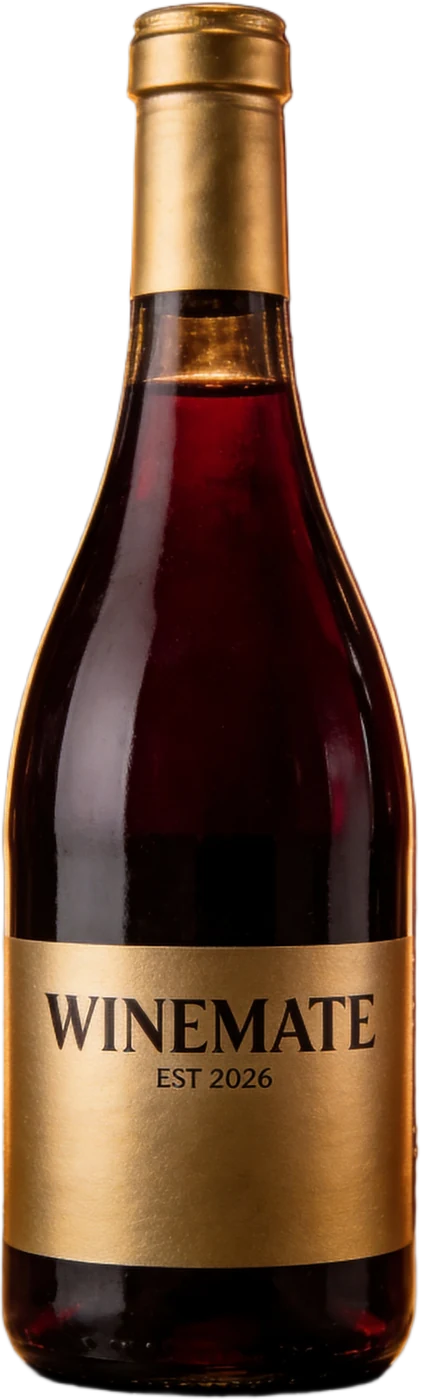 Бутылка WineMate — набор для выездной дегустации
